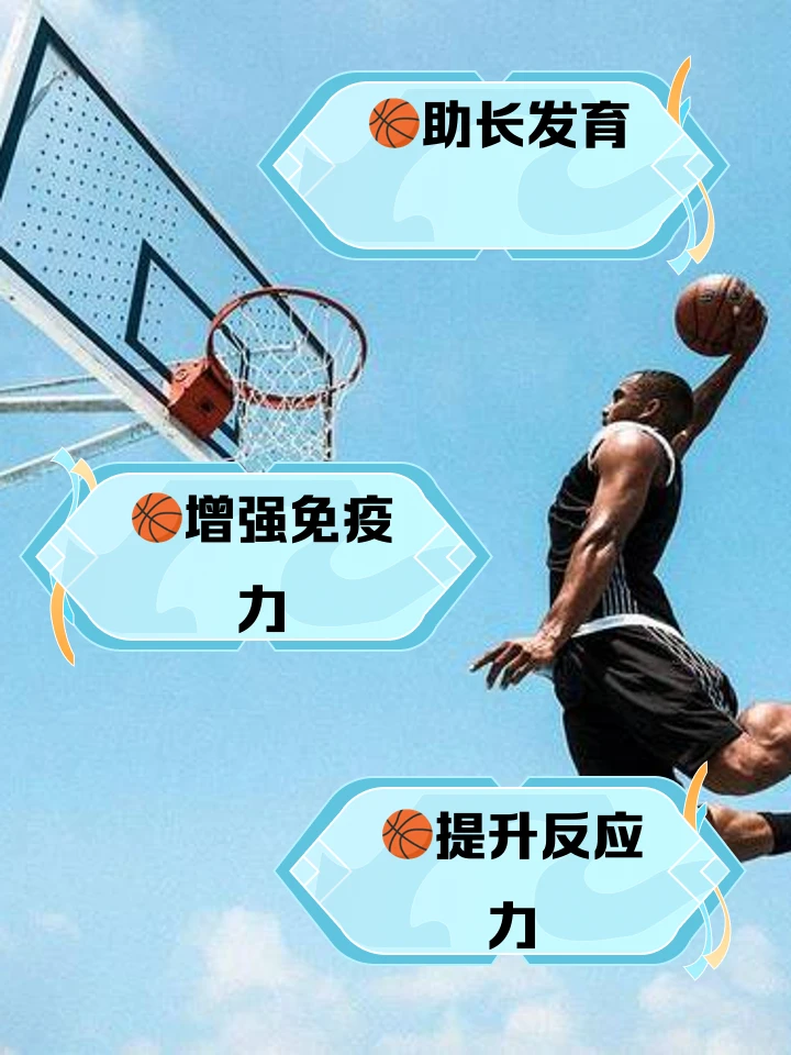绳梯训练篮球_2